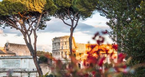 Il Colosseo di Roma tra alberi e fiori al tramonto.