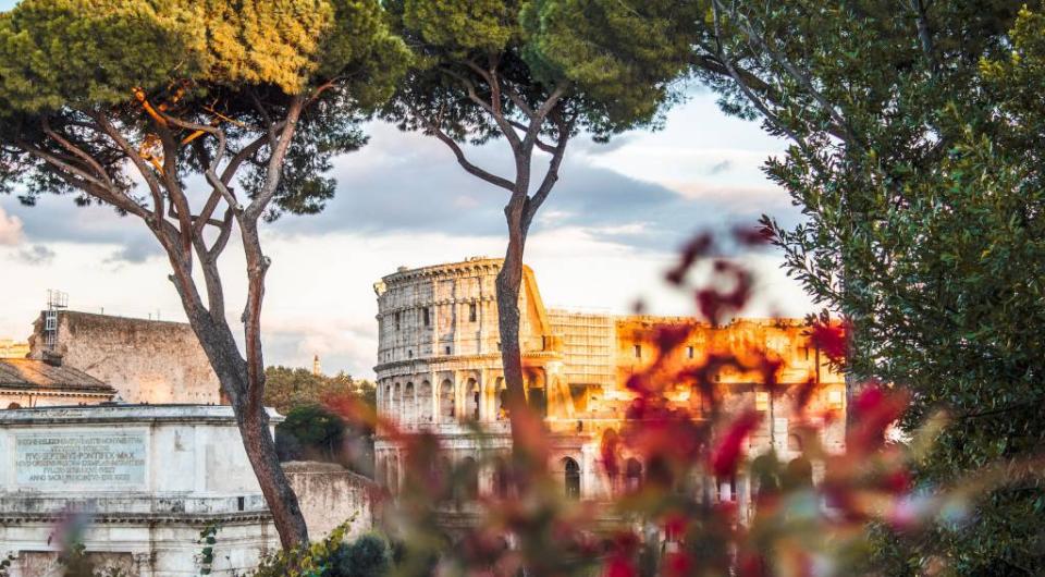 Vista del Colosseo attraverso alberi e fiori al tramonto.